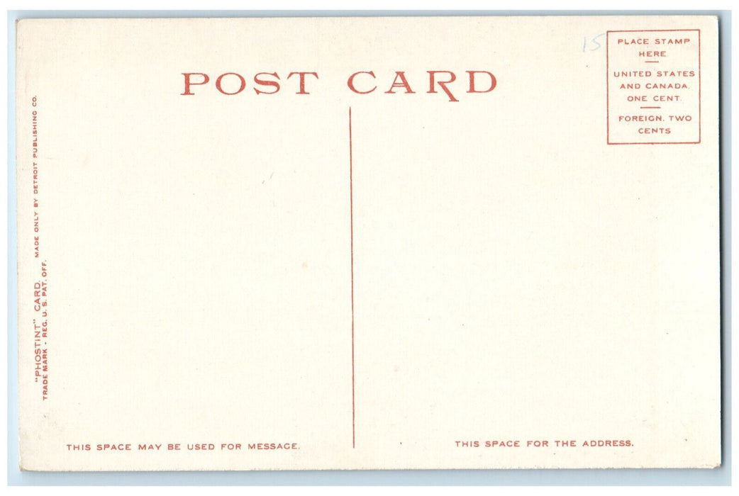 c1920's Line of Battleships up the Hudson River New York NY Phostint Postcard