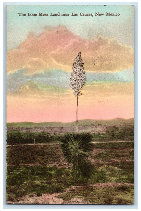1934 The Lone Mesa Land Near Las Cruces New Mexico NM Handcolored Postcard