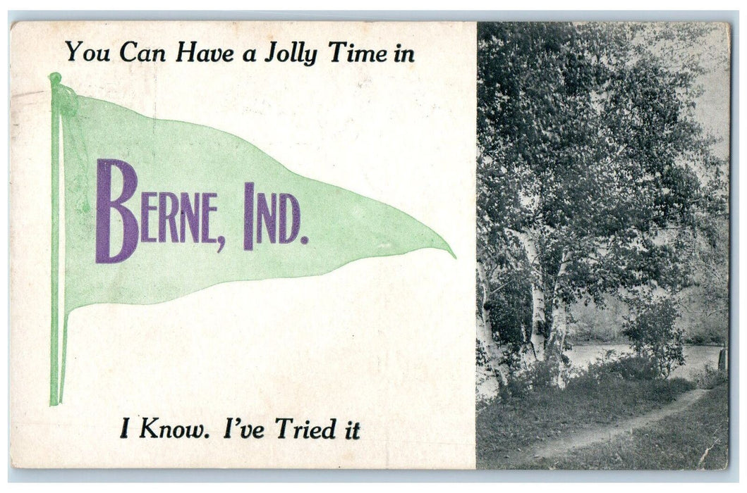 1912 You Can Have A Jolly Time In Berne Indiana I Know I've Tried It Postcard