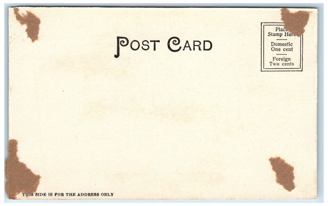 c1905 Lake in Forest Park Springfield Massachusetts MA Unposted Postcard