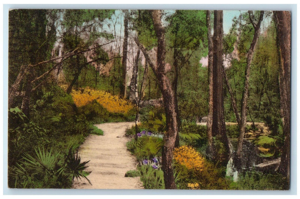 1934 Cypress Gardens Charleston South Carolina SC Handcolored Postcard