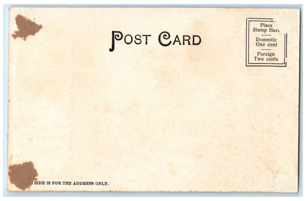 1905 City Hall Destroyed by Fire Springfield Massachusetts MA Unposted Postcard