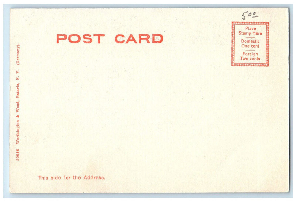c1905 New York School for the Blind Batavia New York NY Unposted Postcard