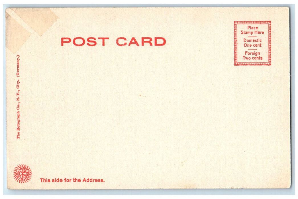 View Of Lake Waban Wellesley College Massachusetts MA Rotograph Antique Postcard