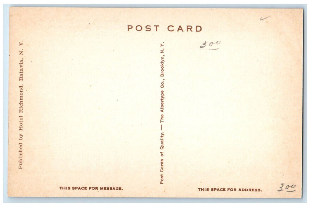 c1910 New York State School for the Blind Batavia New York NY Postcard