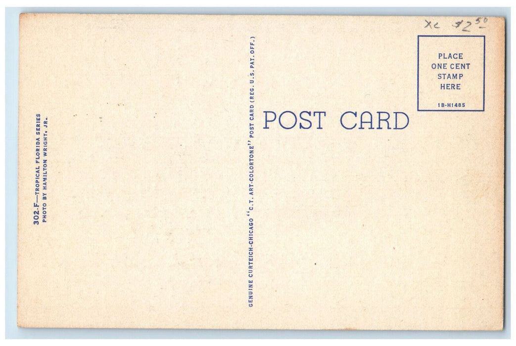 c1950's Overseas Highway Pigeon Key Mainland Key West Florida FL Postcard