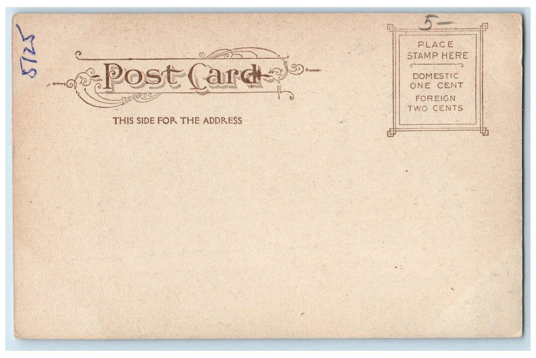 c1905 Public Library Building Exterior Binghamton New York NY Antique Postcard