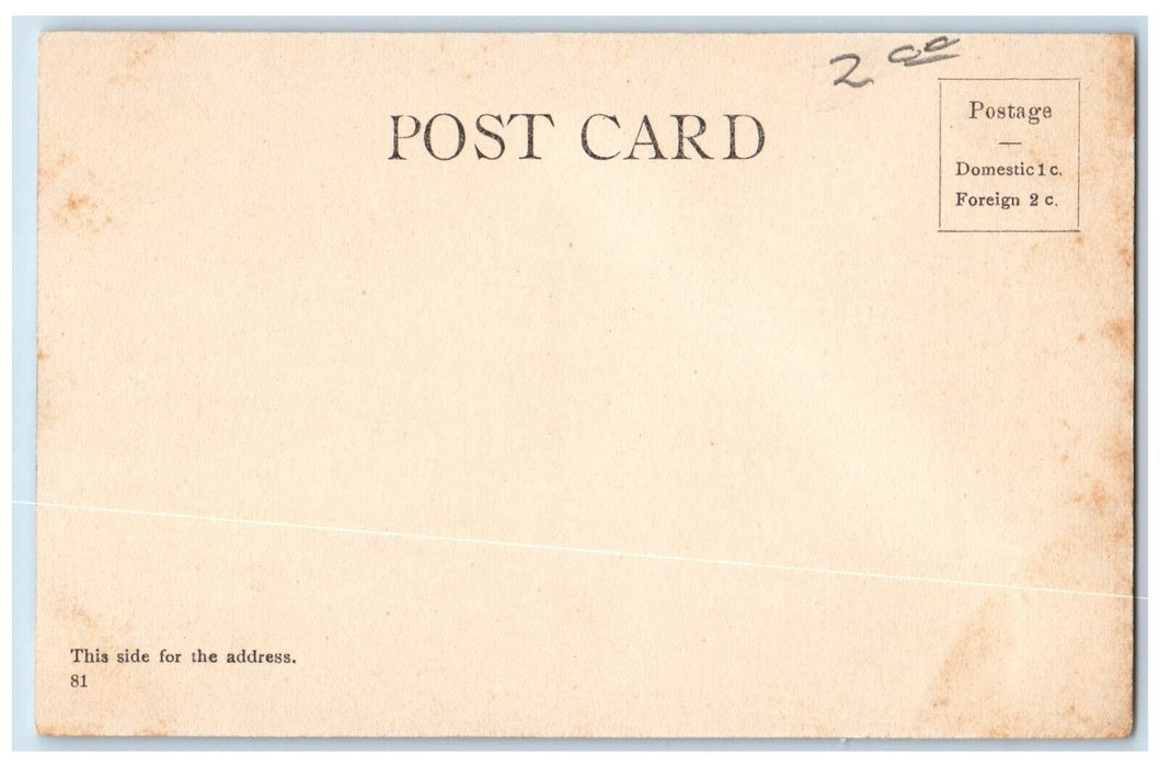 c1905 Flour Mills Ship Ferry Lake Stockton California Unposted Antique Postcard
