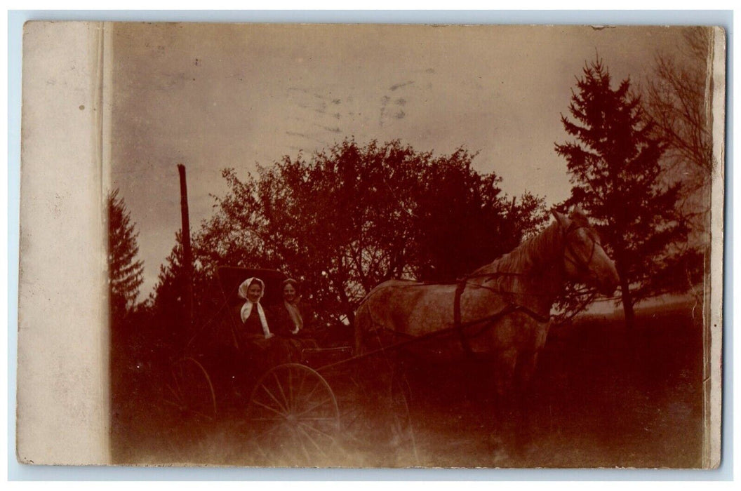 1910 Horse And Buggy Women Cedar Falls Iowa IA Antique RPPC Photo Postcard