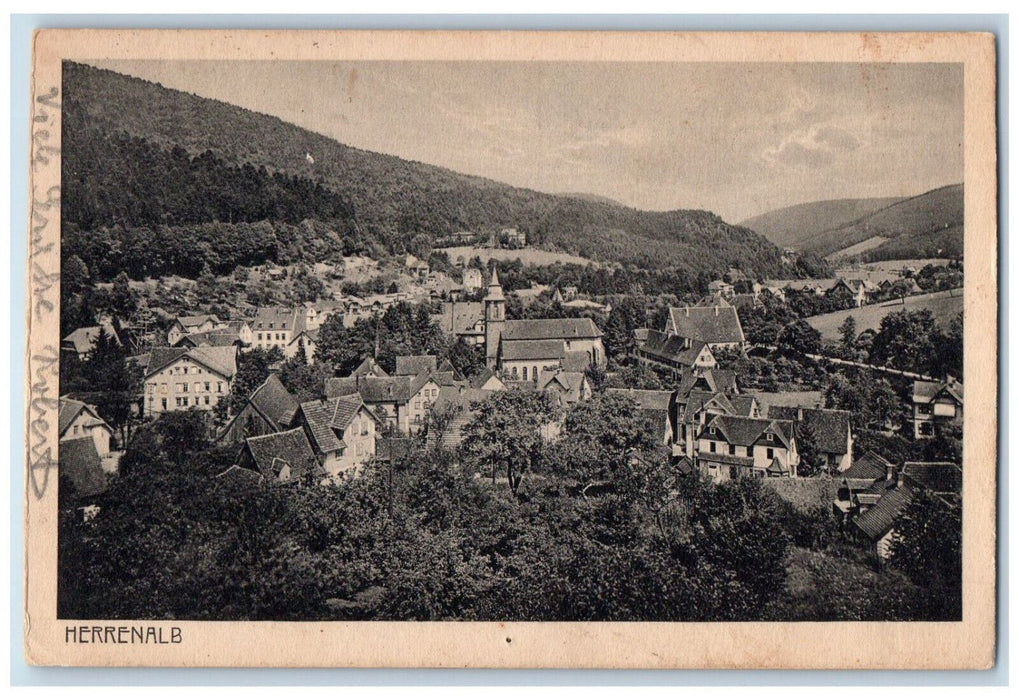 c1920's Aerial View of Buildings Houses in Herrenalb Germany Posted Postcard