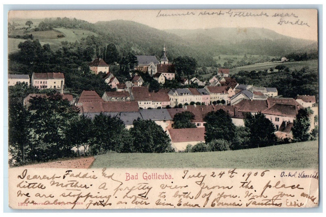 1905 General View of Buildings in Bad Gottleuba Germany Antique Posted Postcard