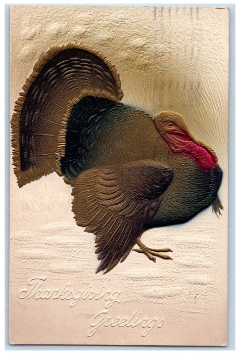 1908 Thanksgiving Greetings Turkey Airbrushed Embossed Milwaukee WI Postcard