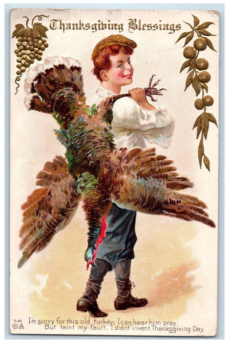 1914 Thanksgiving Blessings Boy Cached Turkey Embossed Jolie IL Nash Postcard