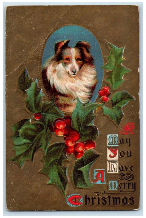 c1910's Merry Christmas Collie Dog Holly Berries Embossed Chester PA Postcard