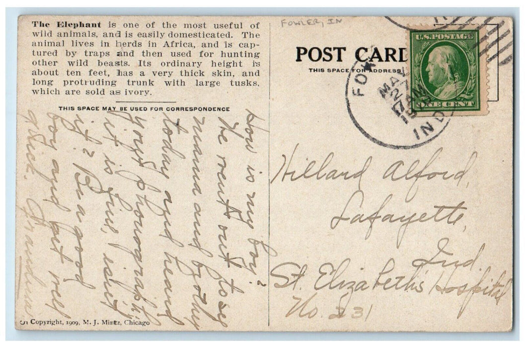 1909 Elephant Wild Animals Hunting Fowler Indiana IN Posted Antique Postcard
