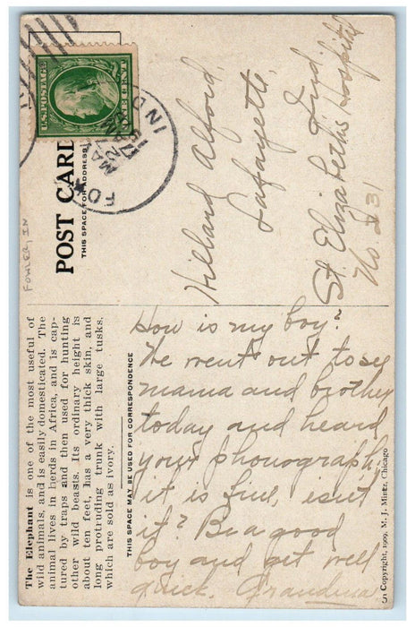 1909 Elephant Wild Animals Hunting Fowler Indiana IN Posted Antique Postcard