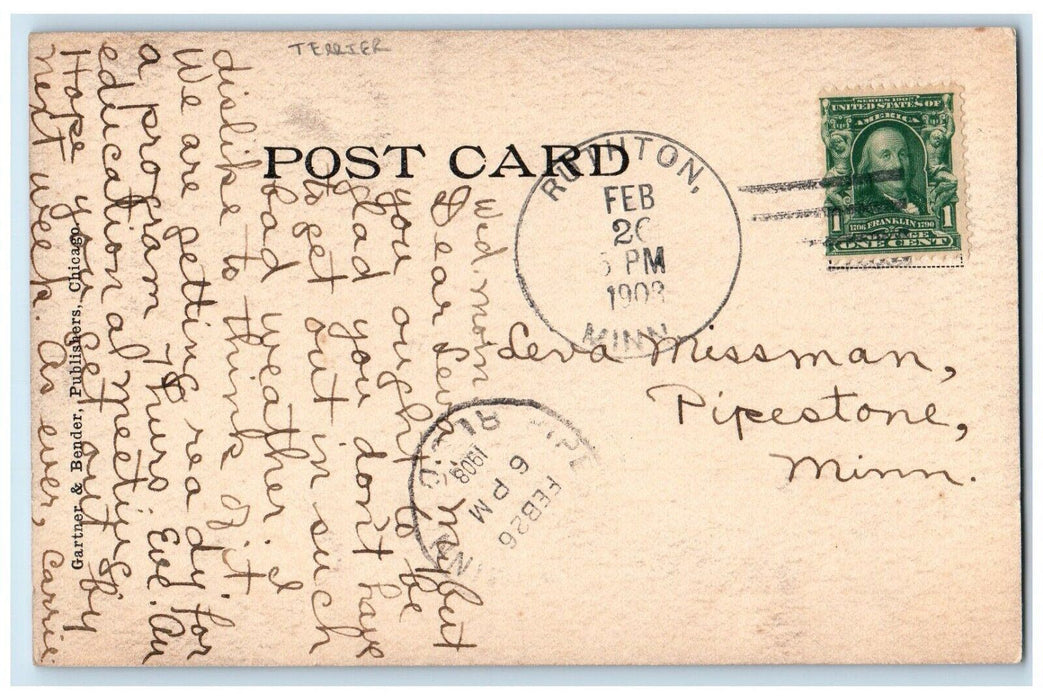 1908 Terrier Dog With Chicks Ruthton Minnesota MN Posted Antique Postcard