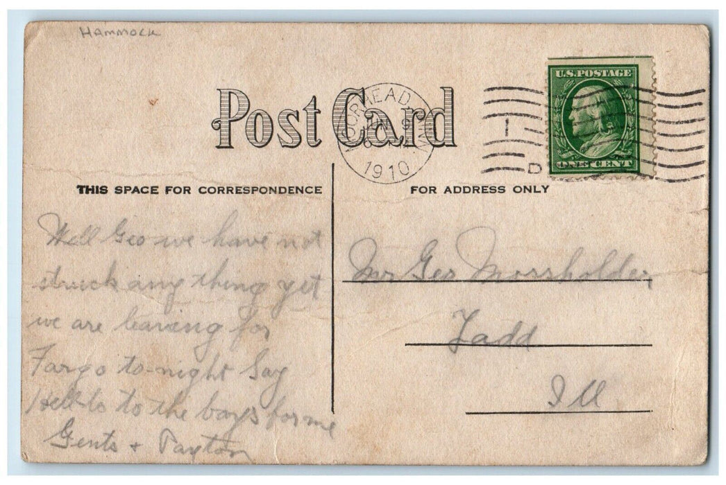 1910 Anthropomorphic Cat And Dog Hammock Moorhead Minnesota MN Antique Postcard