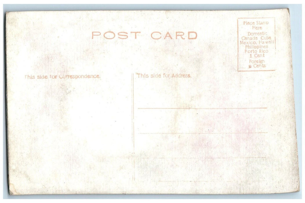 c1910's Easter Greeting Egg Flowers Lake View Airbrushed Antique Postcard