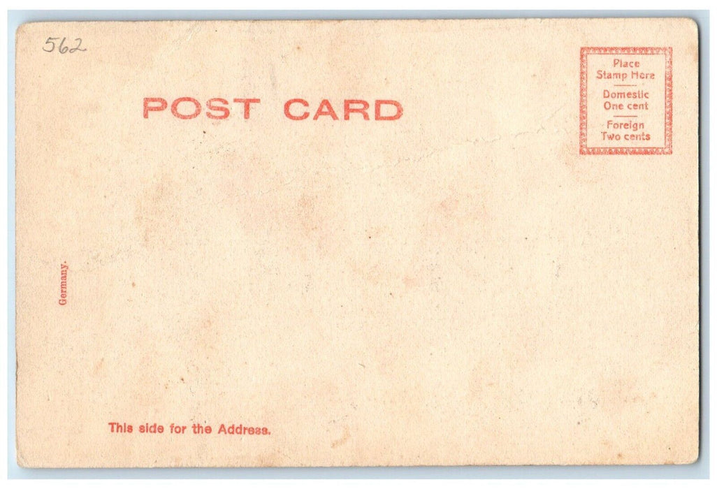 c1905 North Dormitory College Agl Exterior Road Amherst Massachusetts Postcard