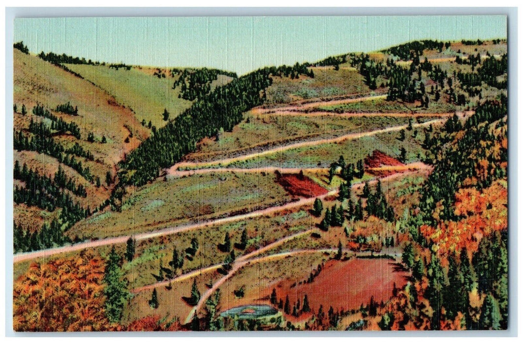 c1940 Scenic View Red River Pass New Mexico Vintage Antique Unposted NM Postcard