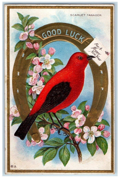 1915 New Year Scarlet Tanager Bird Horseshoe Goodluck Flowers Embossed Postcard