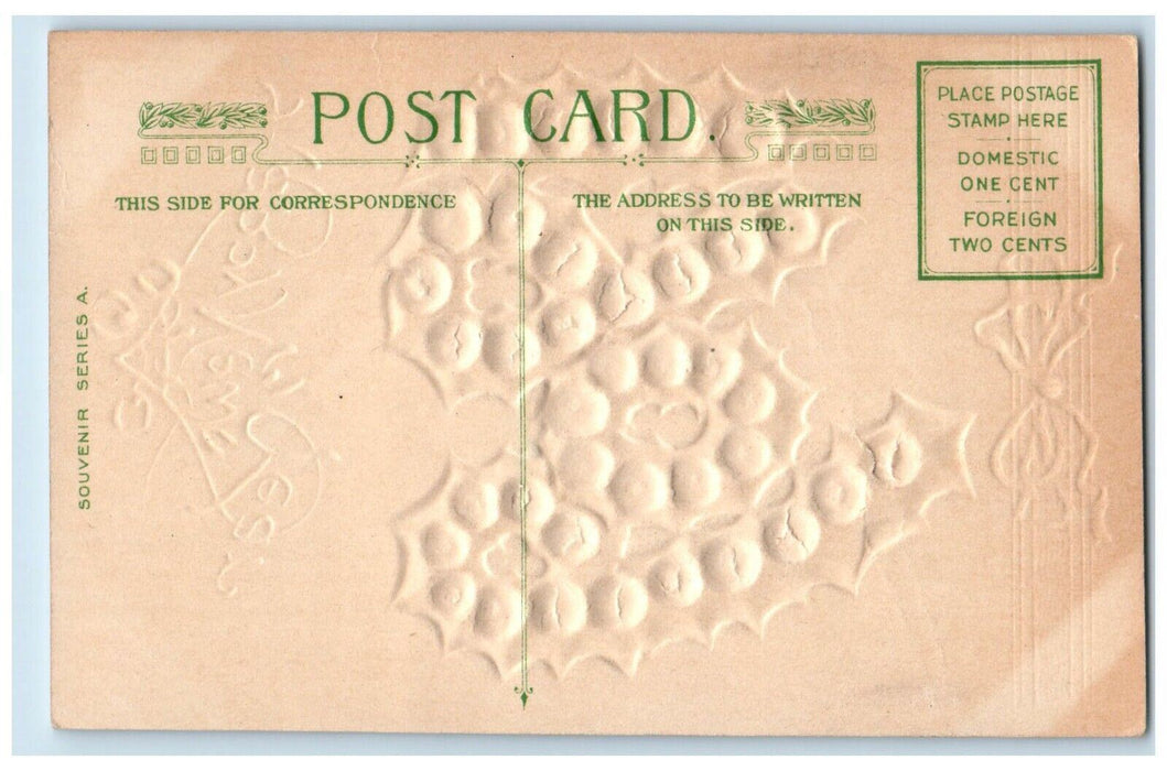 1909 Happy New Year Holly Berries Mistletoe Winsch Back Embossed Postcard