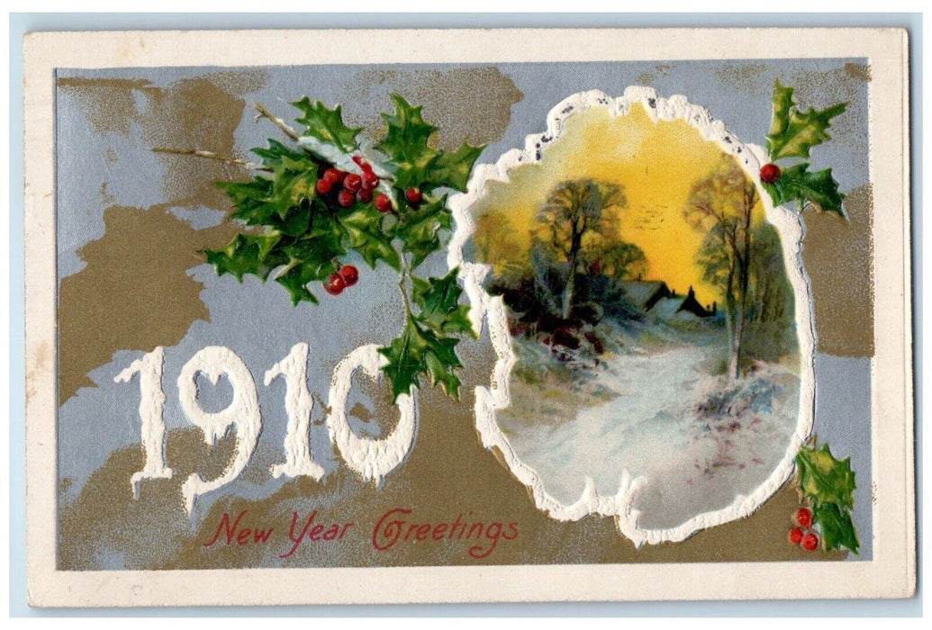 1910 New Year Greetings Berries Winter Winsch Back Embossed Peoria IL Postcard