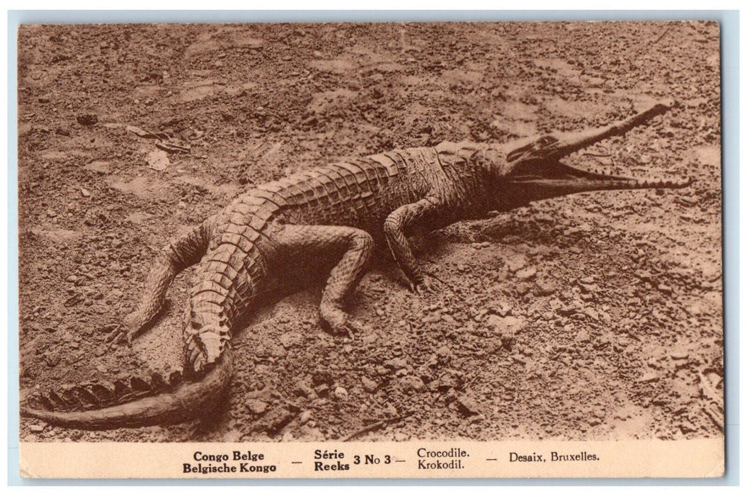 c1940's Congo Belge Serie Reeks 3 Crocodile Desaix Bruxelles Belgium Postcard