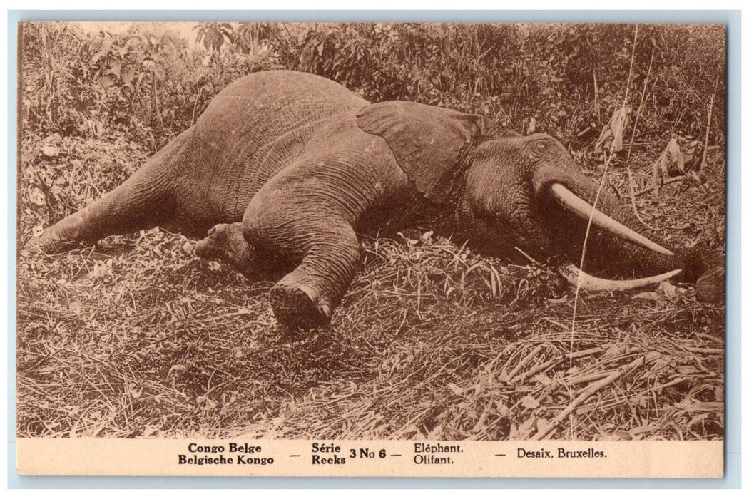 c1940's Congo Belge Serie Reeks 3 Elephant Desaix Bruxelles Belgium Postcard