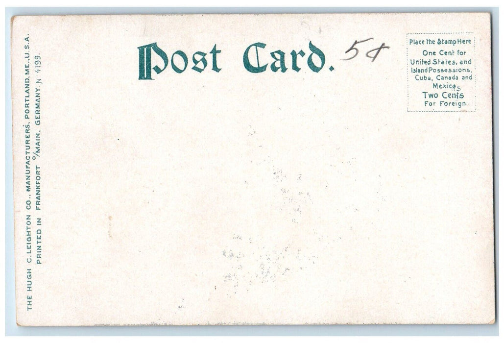 c1905 Lovers Lane Along Susquehanna River Binghamton New York Antique Postcard