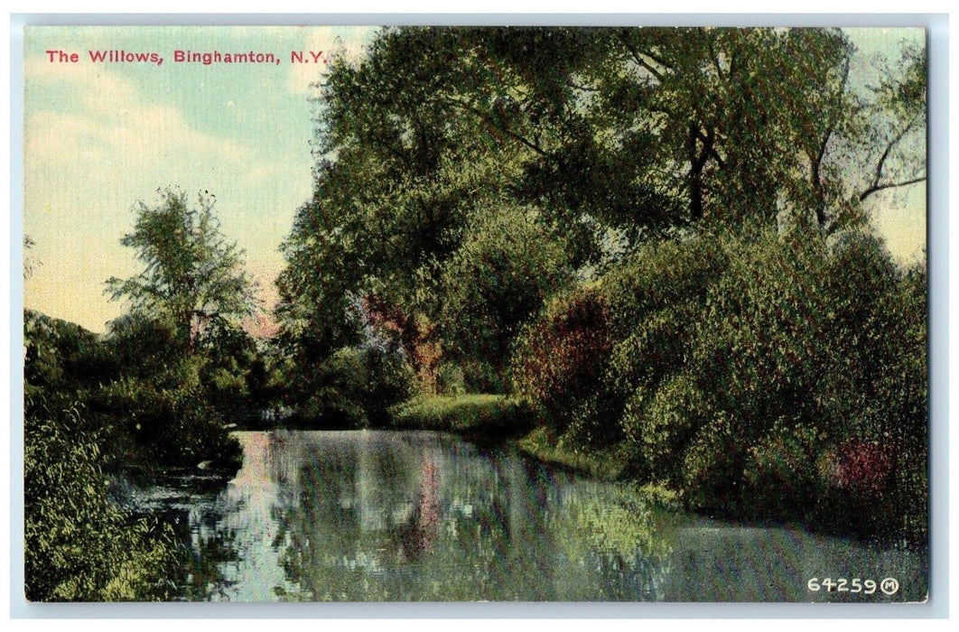 c1910 Willows River Lake Swamp Binghamton New York NY Vintage Antique  Postcard