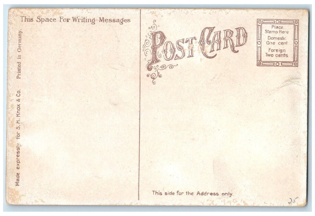 c1910 Masten Park High School Exterior Building Field Buffalo New York Postcard