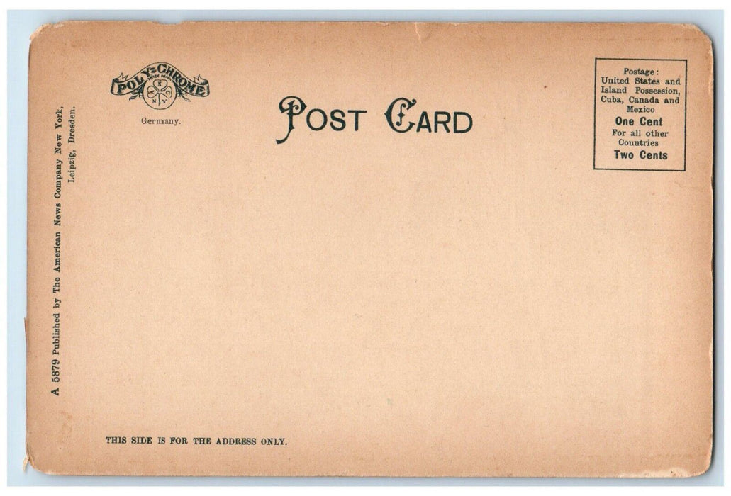 1905 Grand Hotel Monka Mountain Rear Trees Catskill Mountains New York Postcard