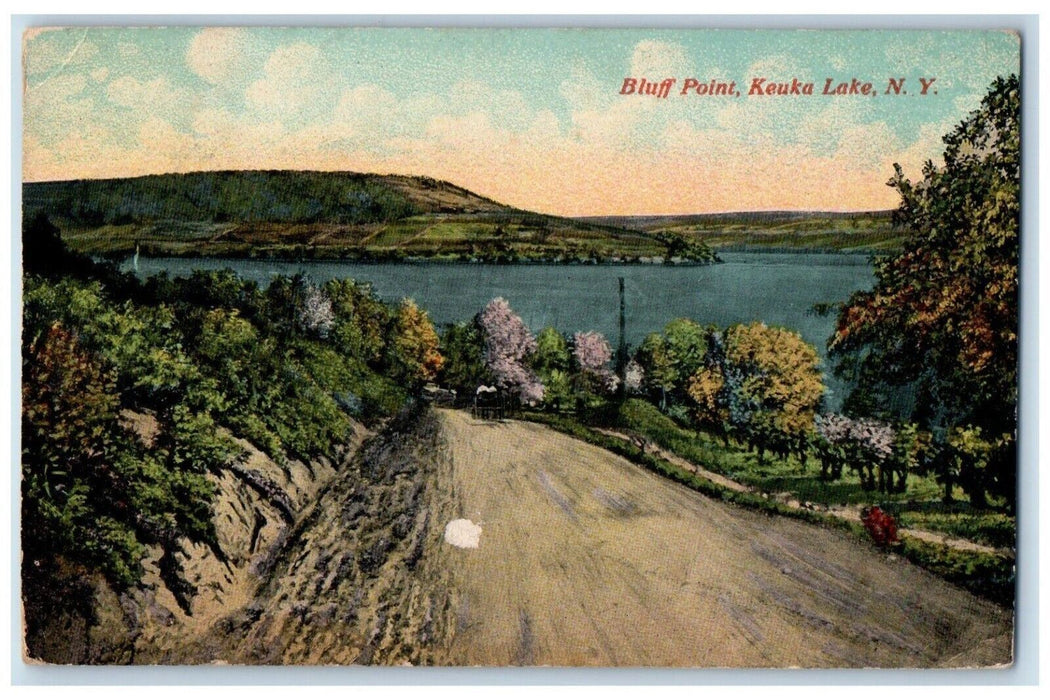 1913 Bluff Point Horse Carriage Dirt Road Keuka Lake Dresden NY Antique Postcard