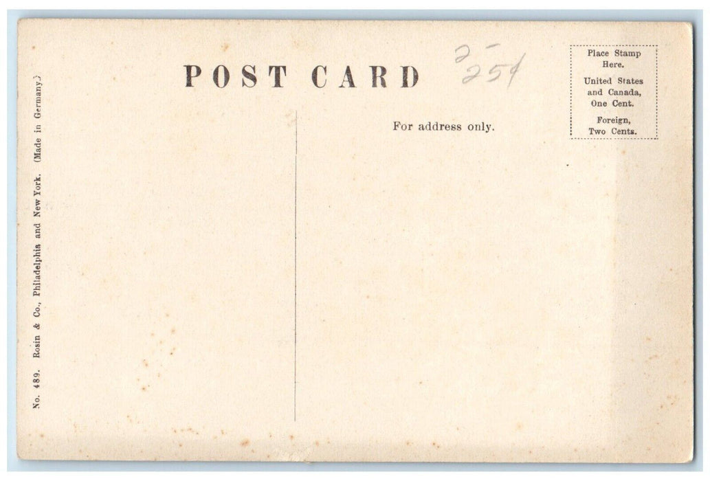 c1910 Pettibone Falls Scenic View Massachusetts  MA Vintage Antique Postcard