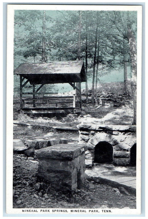 View Of Mineral Park Springs Cottage Mineral Park Tennessee TN Vintage Postcard