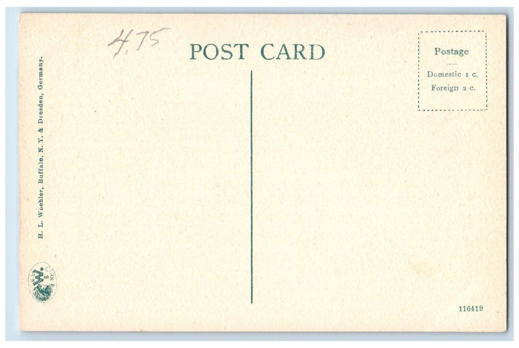 c1910 Jack Knife Bridge Steamer Ship Dock Port Bridge Buffalo New York Postcard