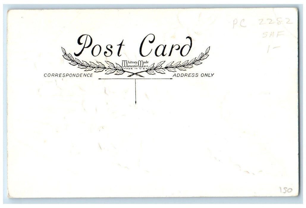 c1910's Happy Easter White Daisy Flowers Butterflies Embossed Antique Postcard