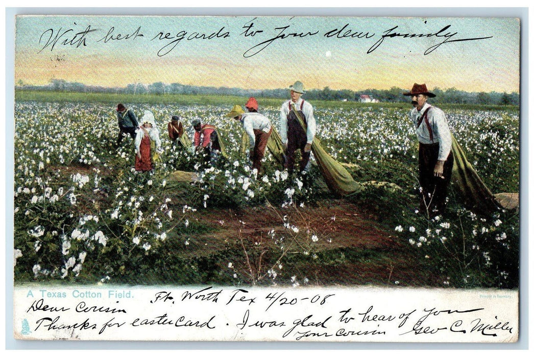 1909 A Texas Cotton Field Fort Worth TX, Farmer Farmland Scene Tuck's Postcard