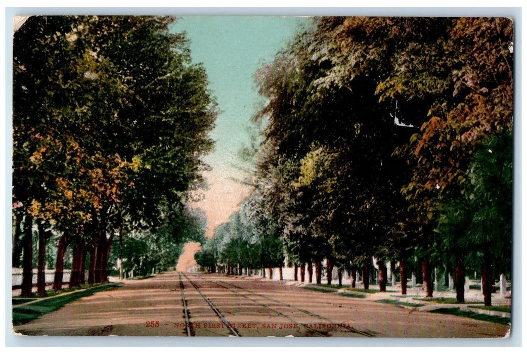 1909 North First Street Tree-lined San Jose California CA Antique Postcard