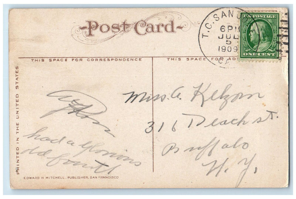 1909 North First Street Tree-lined San Jose California CA Antique Postcard