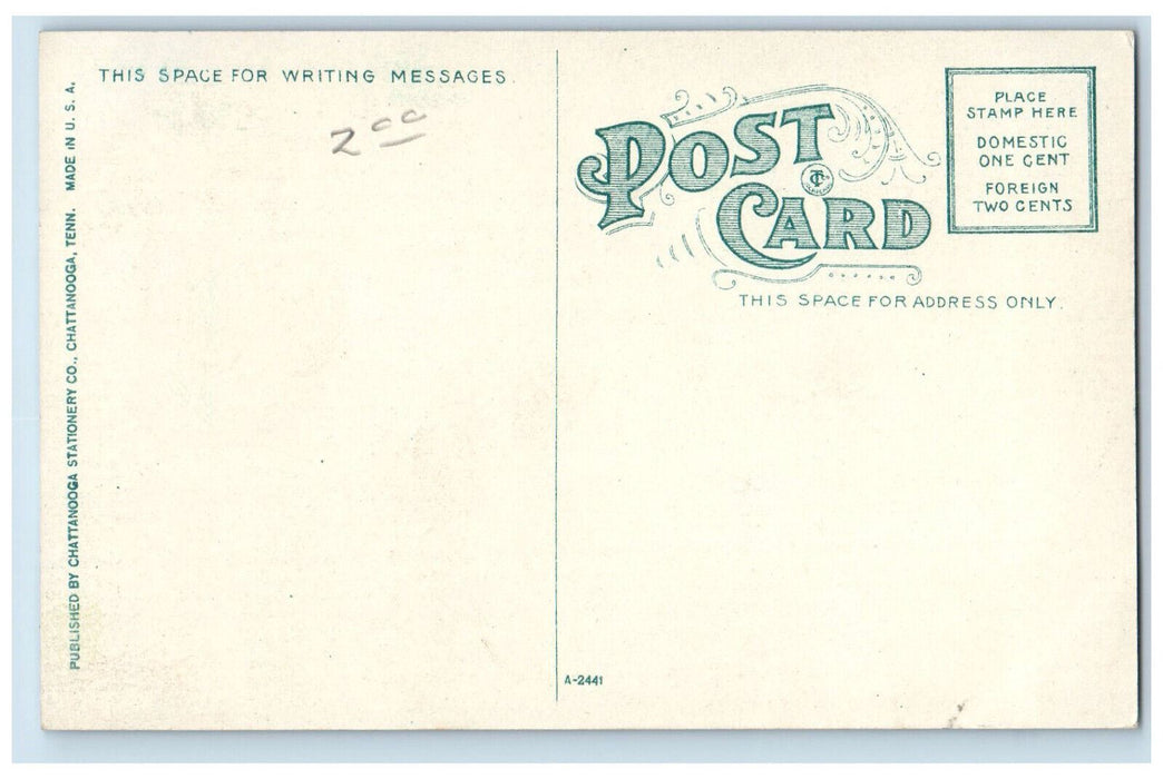 View Of Falling Water Walden's Ridge Near Chattanooga Tennessee TN Postcard