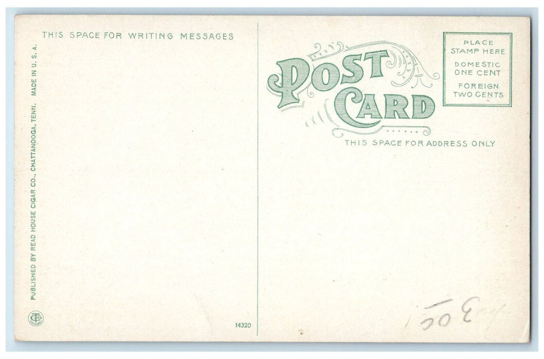 Hotel Patten Overlooked By Nature Roof Garden Chattanooga Tennessee TN Postcard