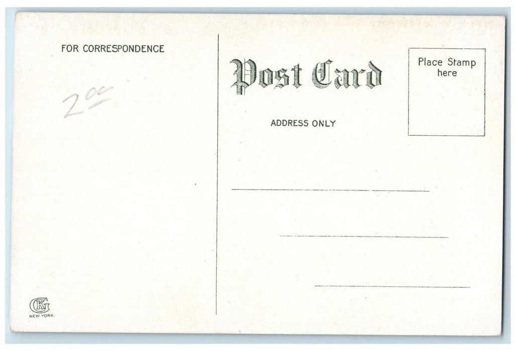 View Of Chattanooga Water Supply, Chattanooga Tennessee TN Antique Postcard