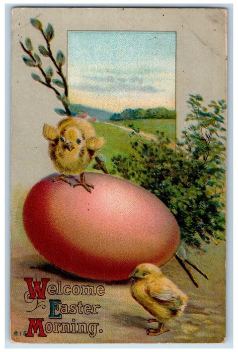 1913 Easter Big Egg Chicks Embossed Picture Rocks PA Posted Antique Postcard