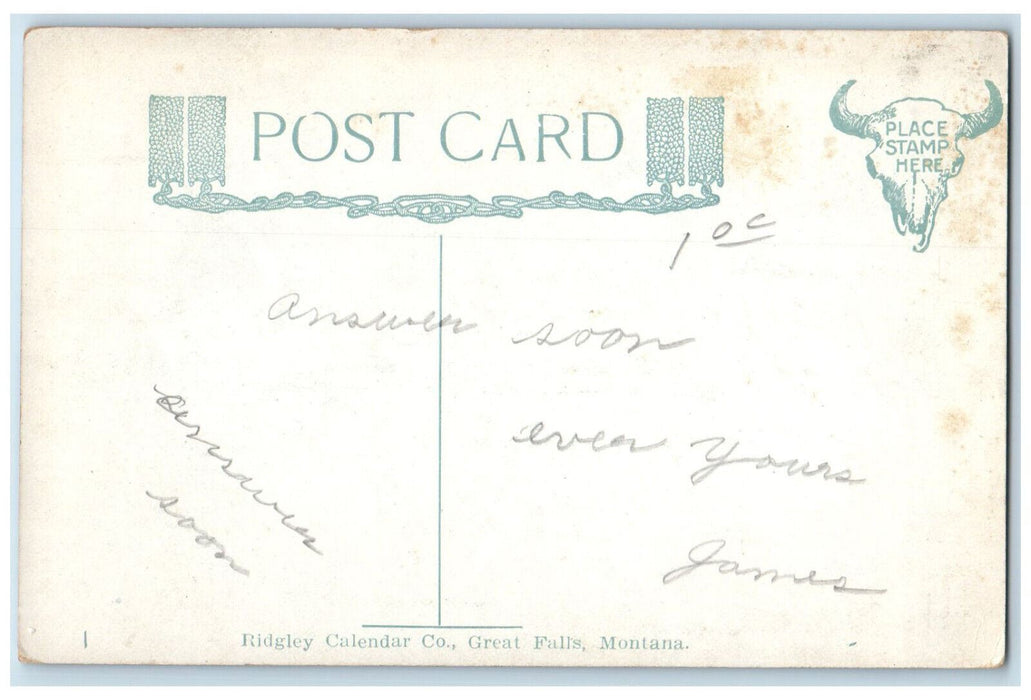 View Of Black Eagle Falls Showing Bridge At Great Falls Montana MT Postcard