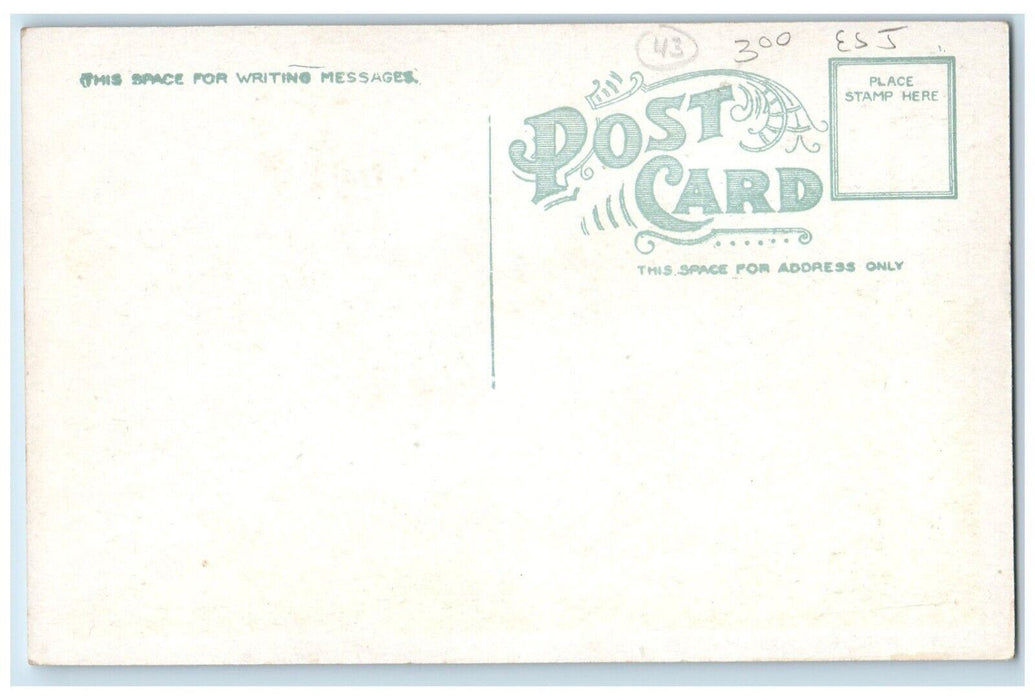 c1910's Wessagusett Houses North Weymouth Massachusetts MA Antique Postcard