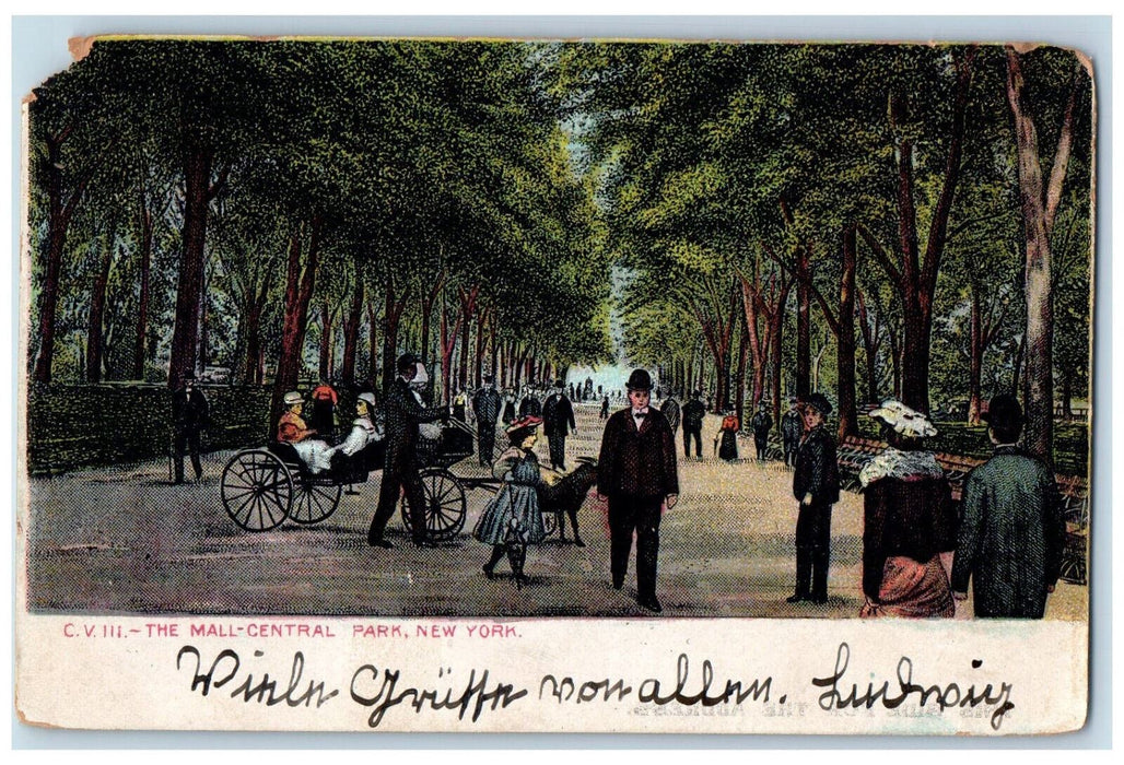 1906 Horse Carriage Crowd The Mall Central Park New York NY Antique Postcard