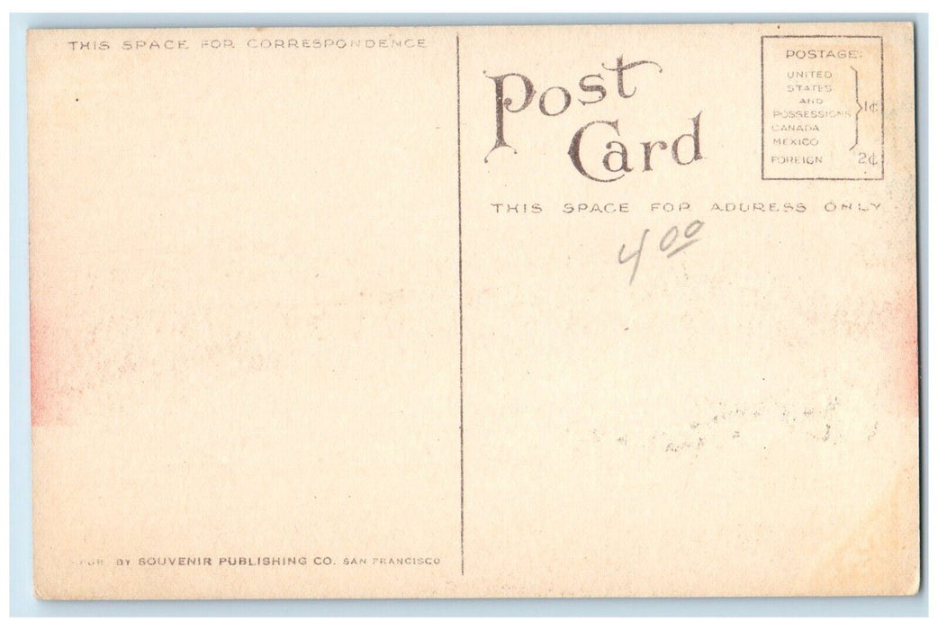 c1910 Pacific Coast S.S. Co. Steamship Governor Steamer Cruise Ship Sea Postcard